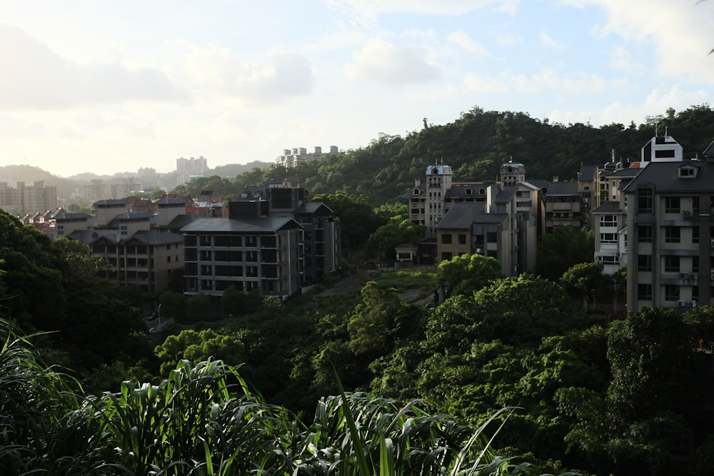 green trees near white concrete building during daytime