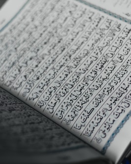 white and blue book page