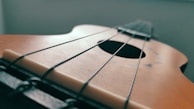 A close-up view of a string instrument, focusing on the strings and the body. The perspective makes the strings appear to stretch far into the distance.