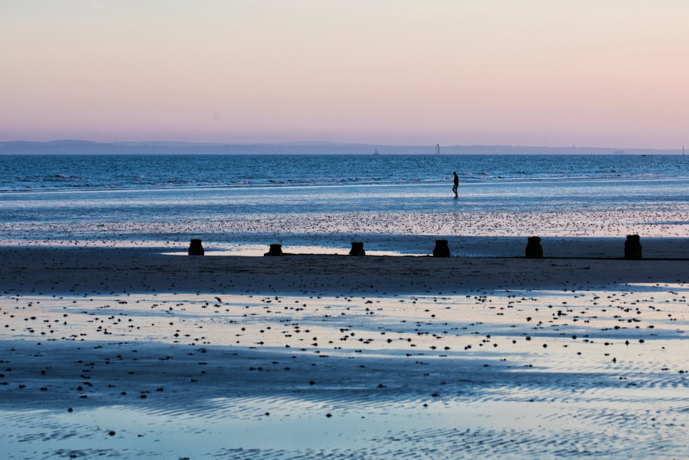 personnes marchant sur la plage pendant la journée