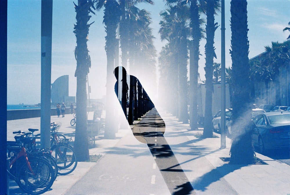 black bicycle on gray concrete road during daytime