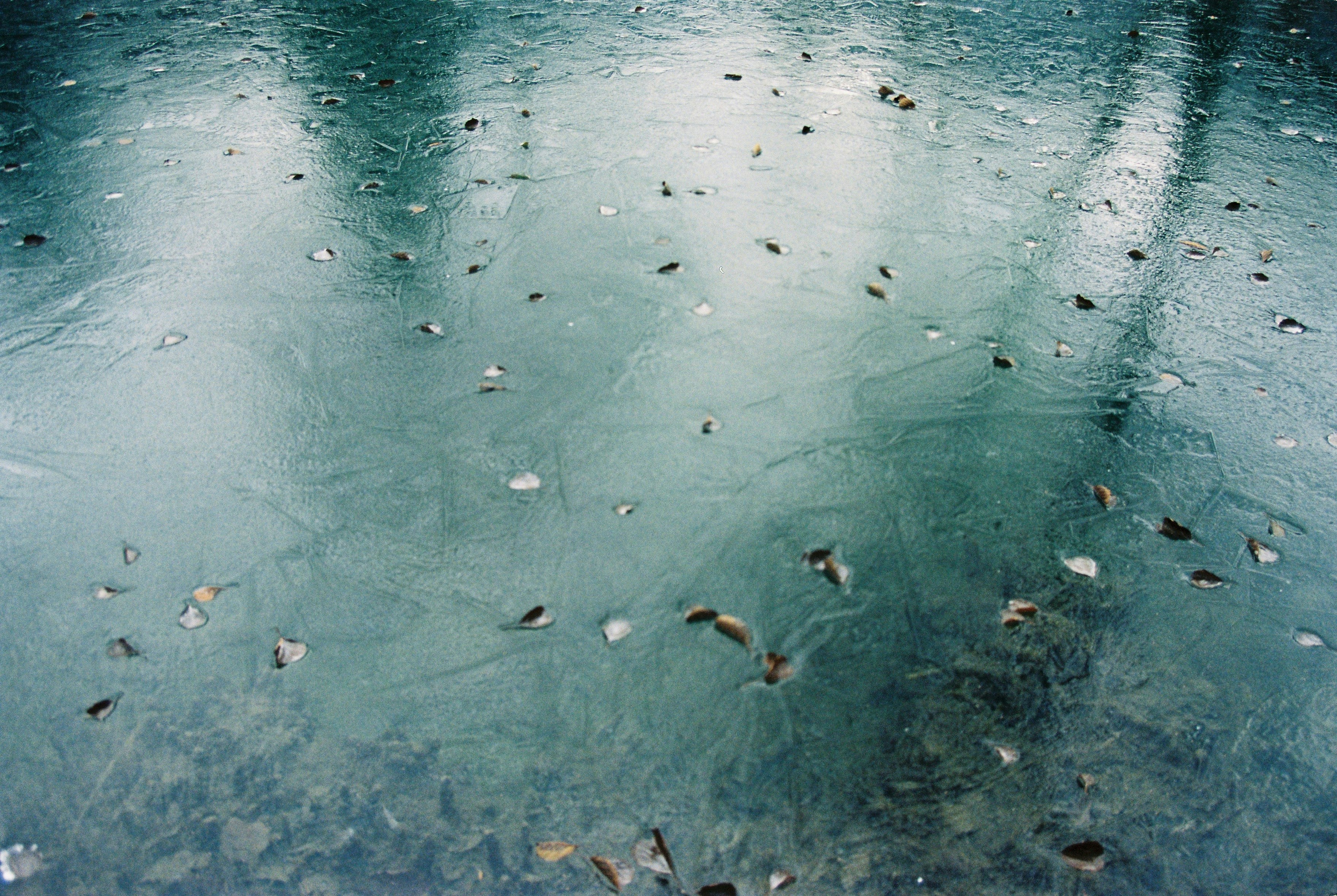 Photo by dreamerunknown