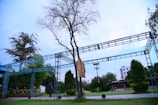 A tree surrounded by a metal framework stands in a grassy outdoor area. A beige article of clothing is draped over a branch of the tree. Several trees and bushes populate the background, along with a white building partially visible on the right. A person can be seen near the framework, and a few seated on the grass.
