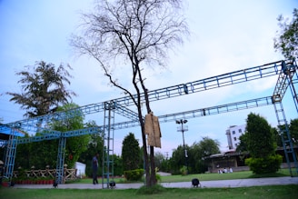A tree surrounded by a metal framework stands in a grassy outdoor area. A beige article of clothing is draped over a branch of the tree. Several trees and bushes populate the background, along with a white building partially visible on the right. A person can be seen near the framework, and a few seated on the grass.