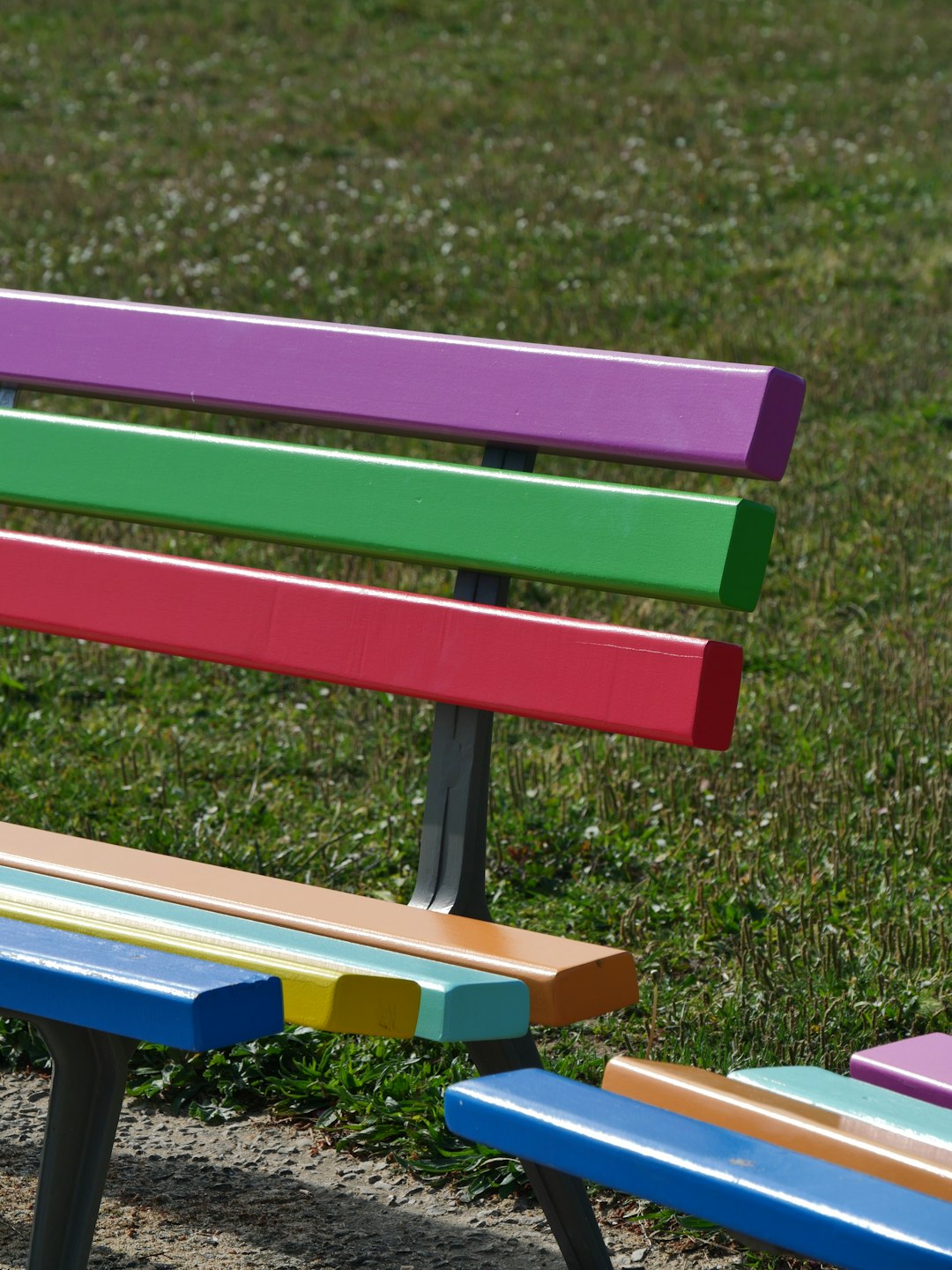 purple wooden bench on green grass field during daytime