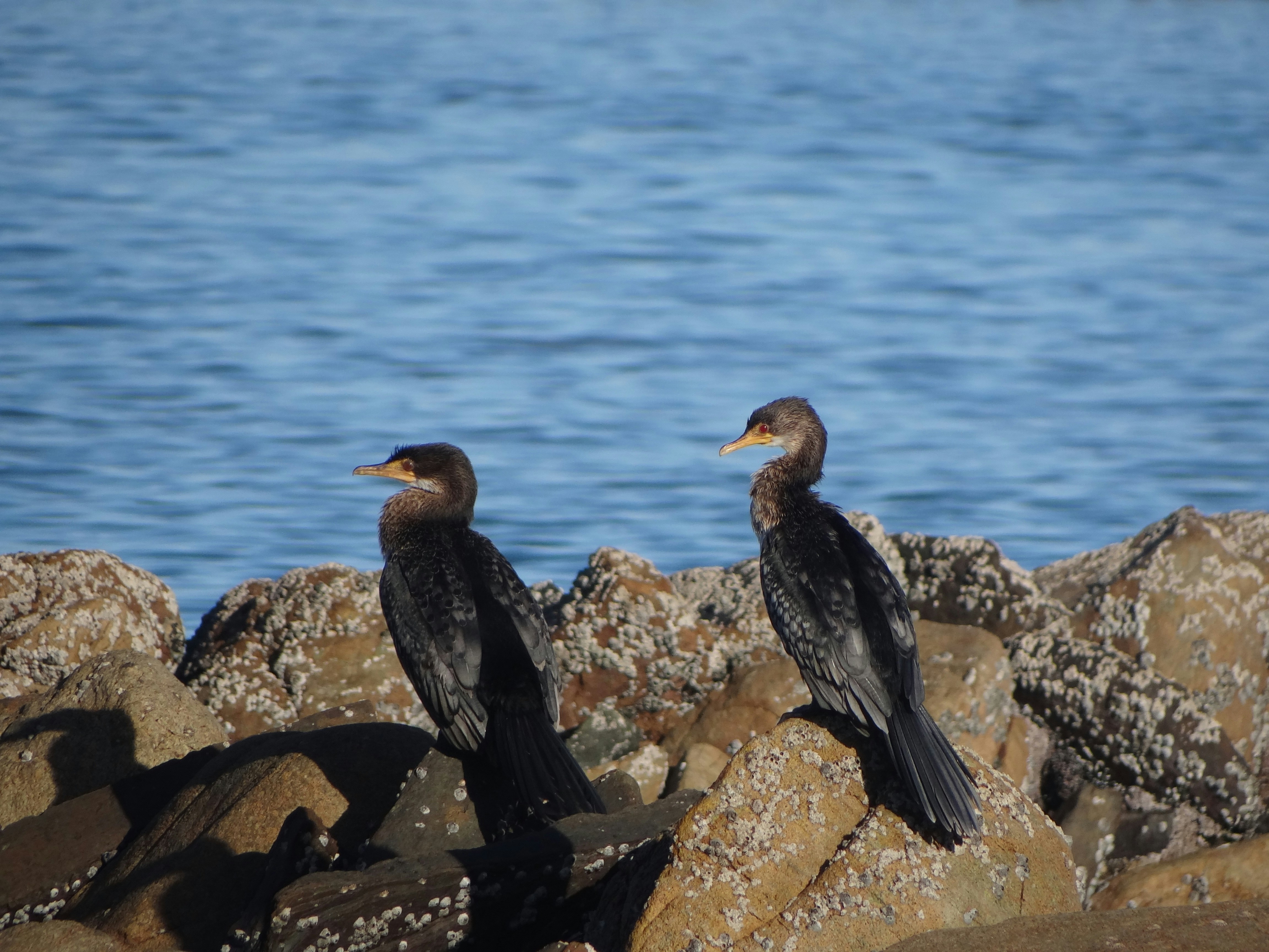 Photo by julia_fiander