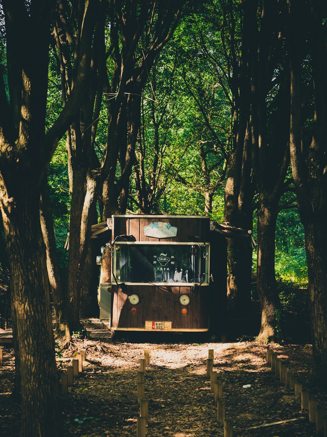 brown and black bus in forest during daytime