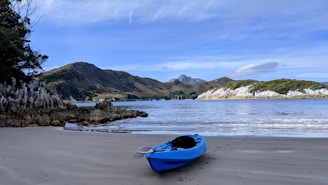 blue kayak on beach shore during daytime