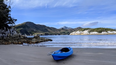 blue kayak on beach shore during daytime
