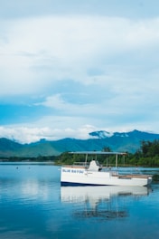 white boat on sea near green mountains under blue sky during daytime