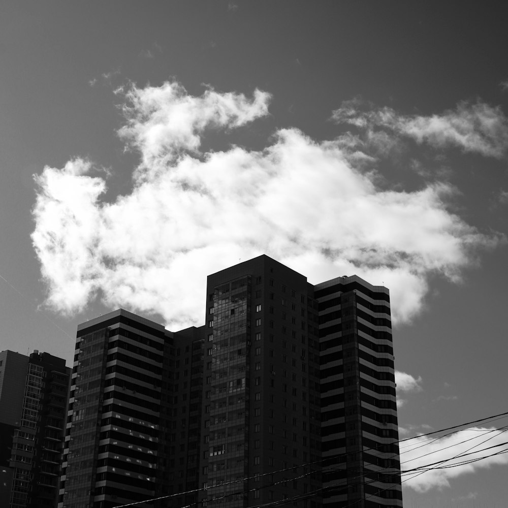 grayscale photo of high rise buildings