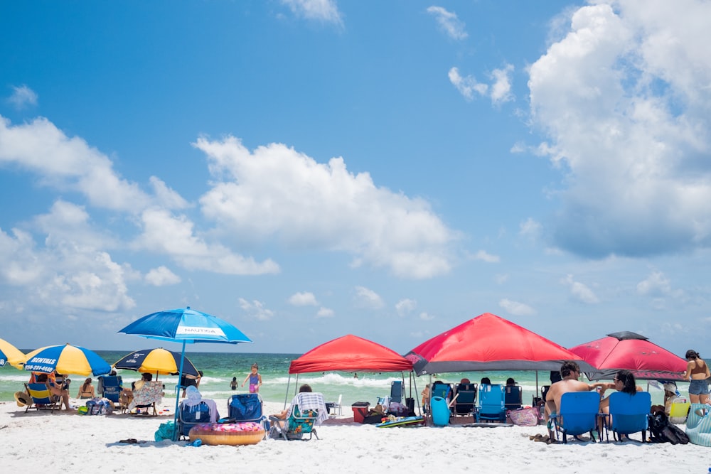 people on beach during daytime