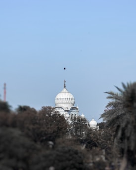 A white domed structure surrounded by trees under a clear blue sky. A bird is flying above the building, adding a dynamic element to the tranquil scene.