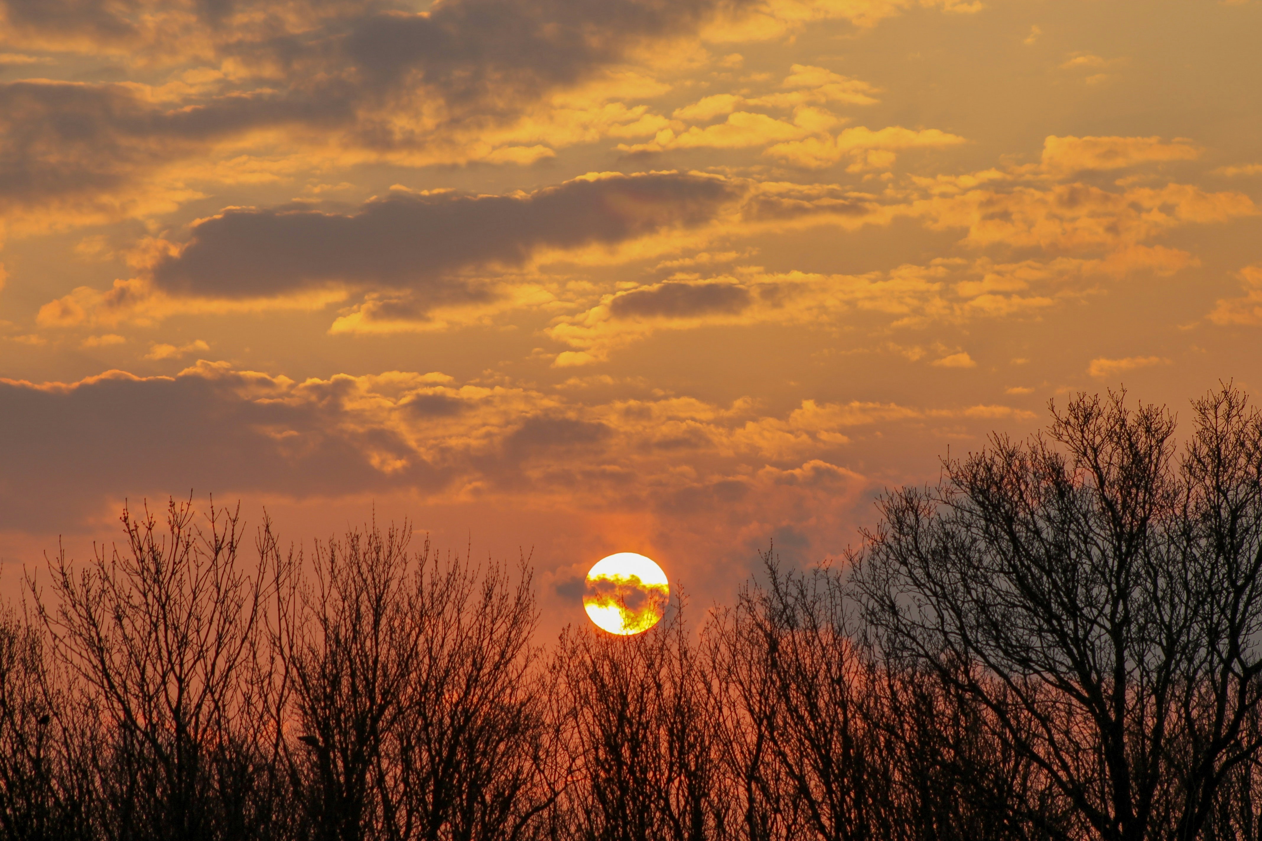 Photo by xmichellestendert