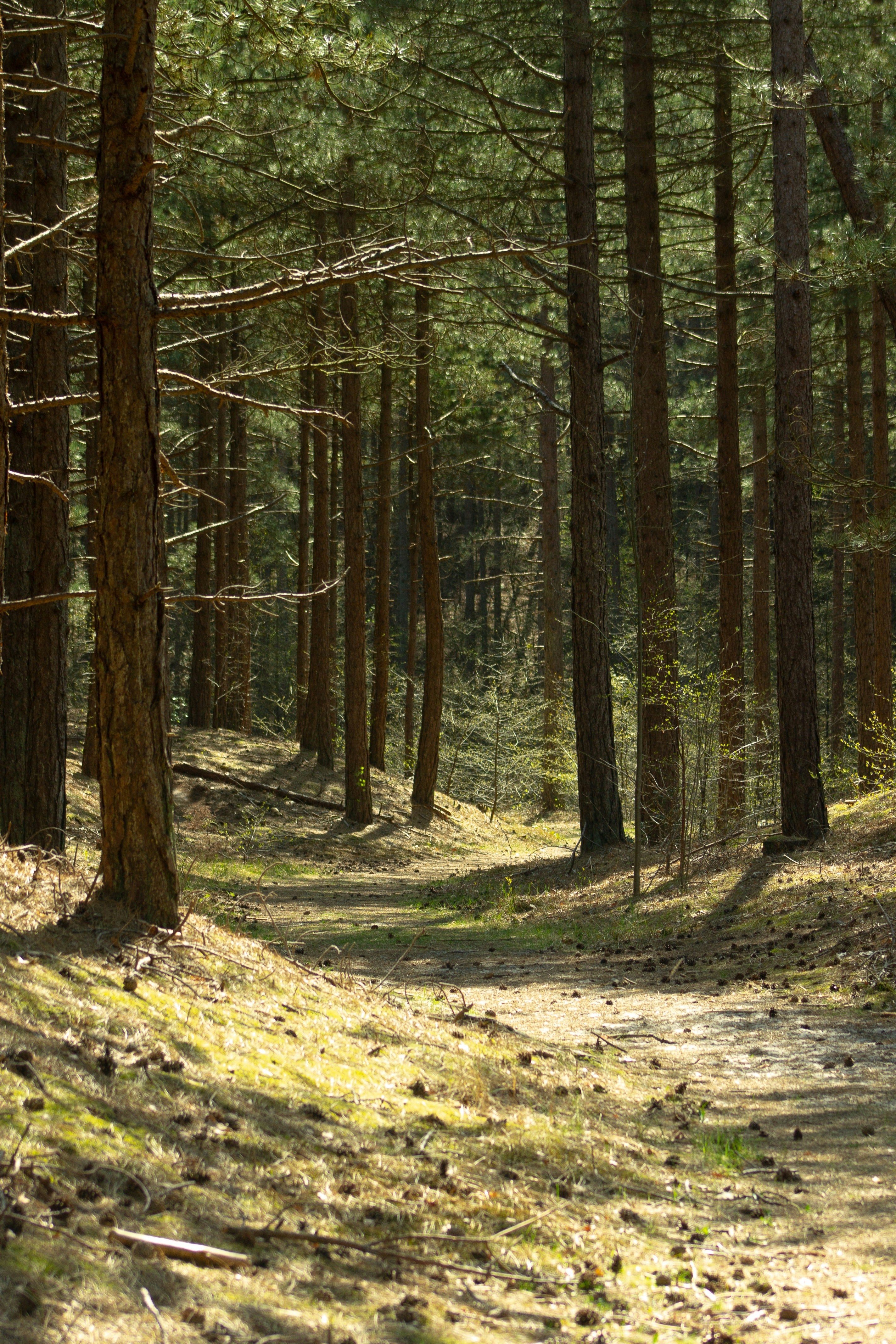 Photo by xmichellestendert