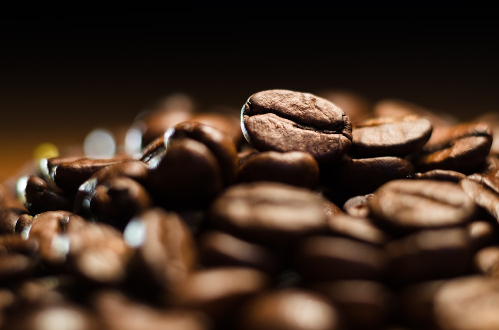 brown coffee beans in close up photography