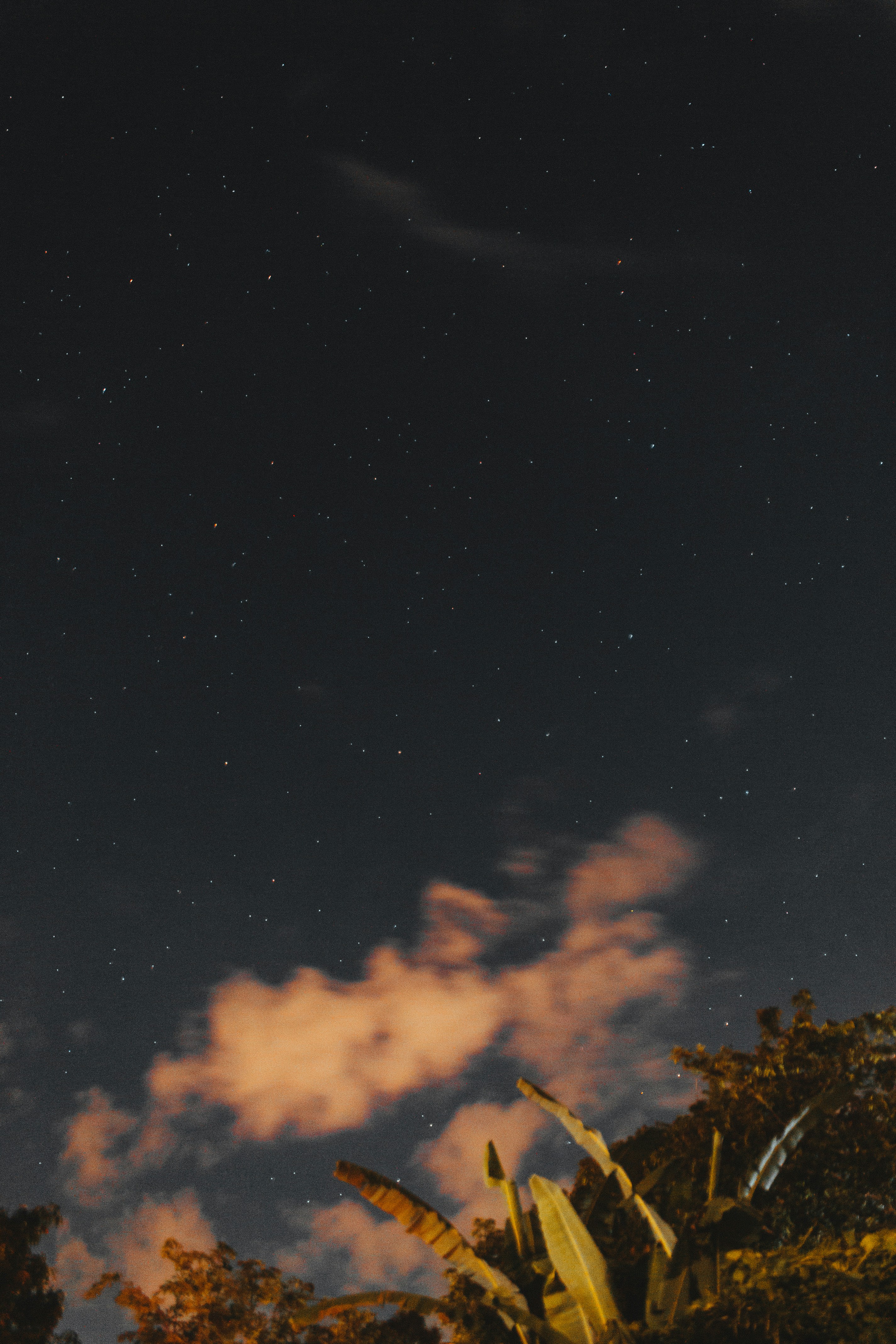 Photo by daniel_castellon20