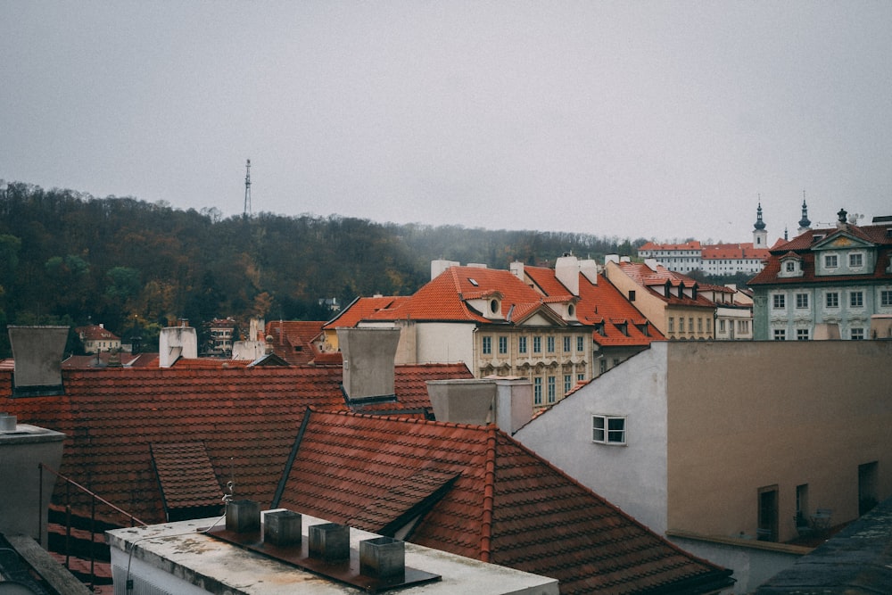 brown and white concrete houses during daytime