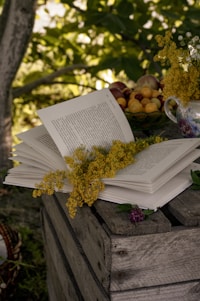 white book page on gray wooden fence