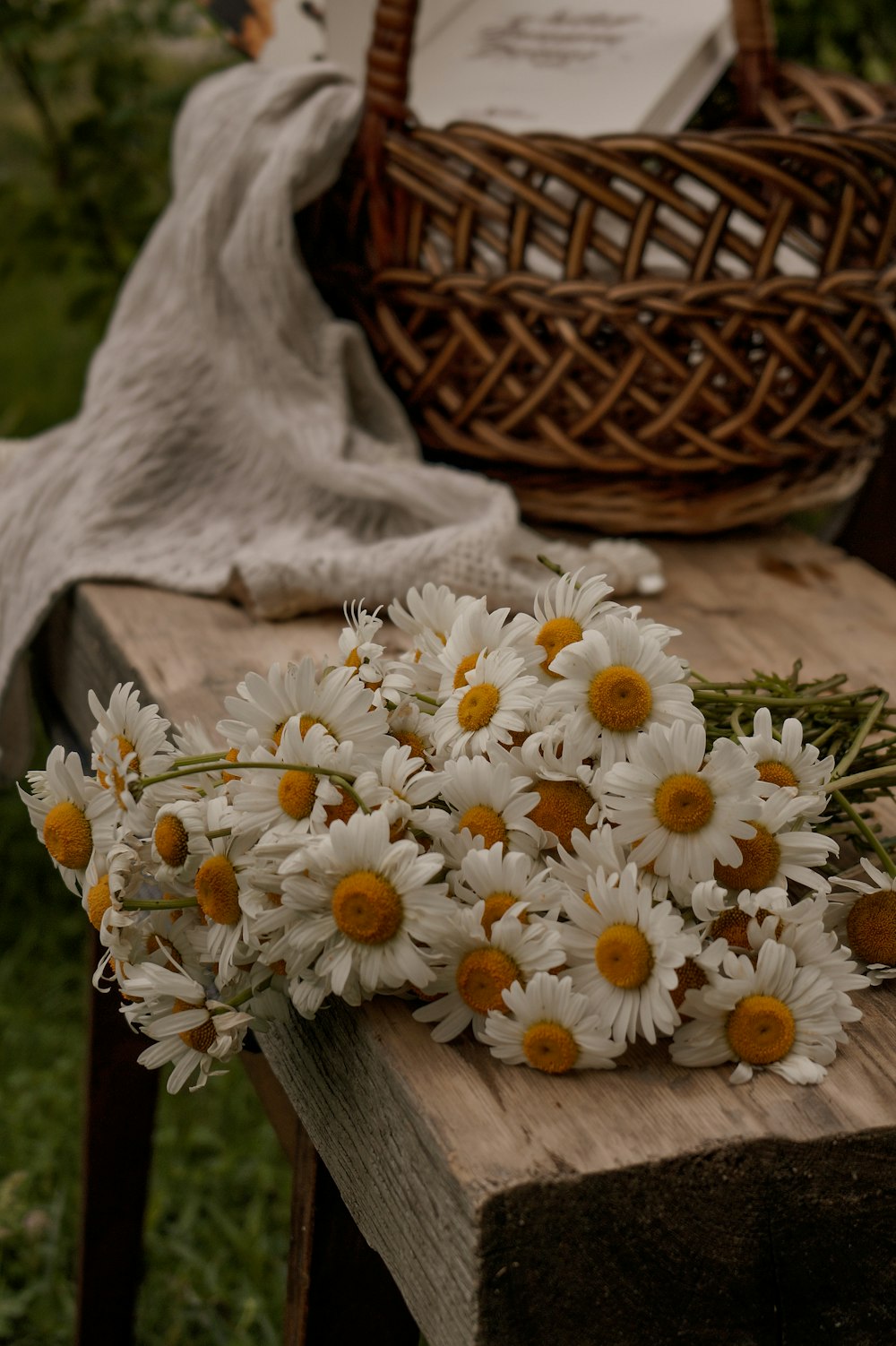 white daisies on brown wooden table