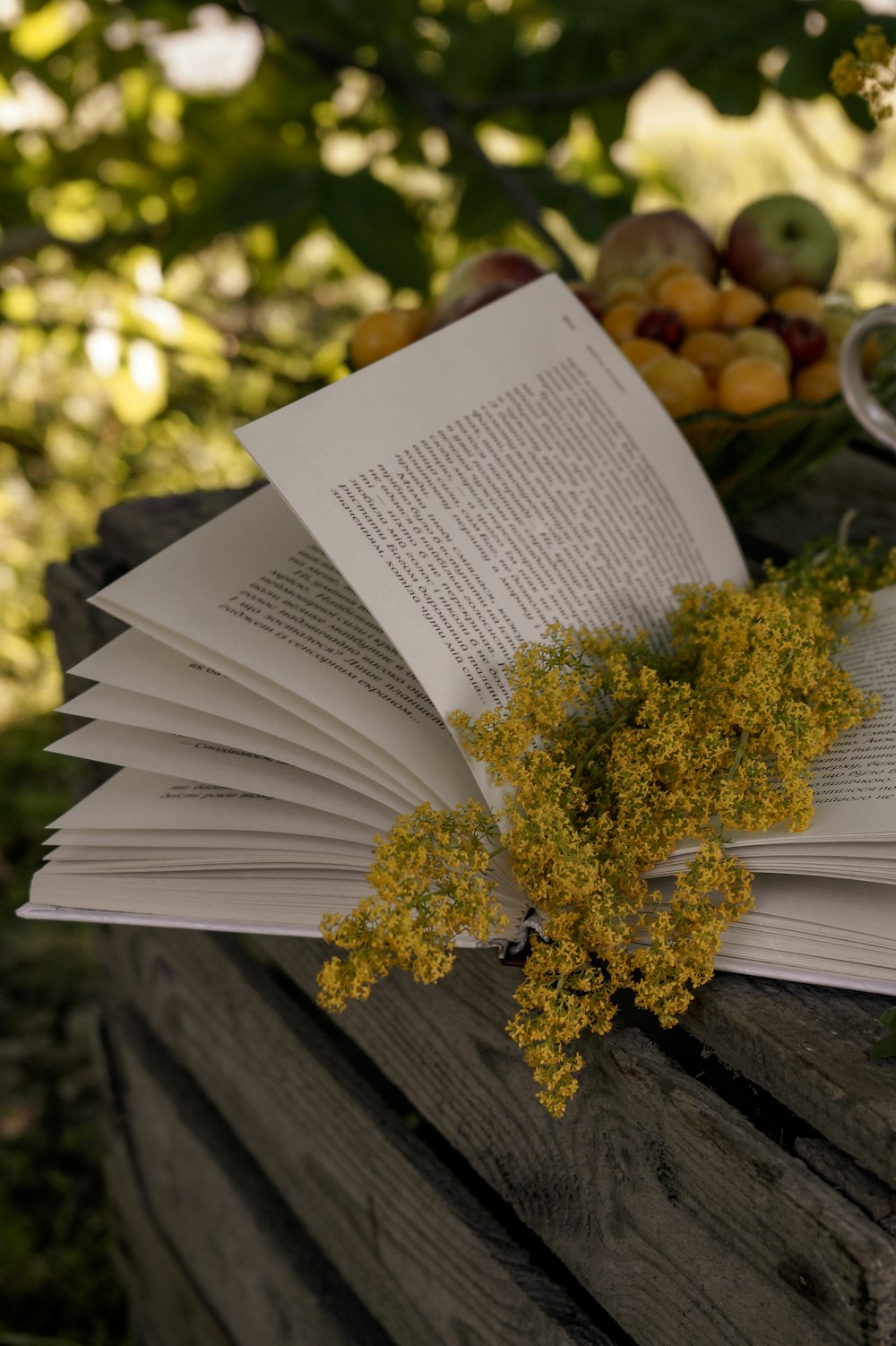 yellow flowers on white book page