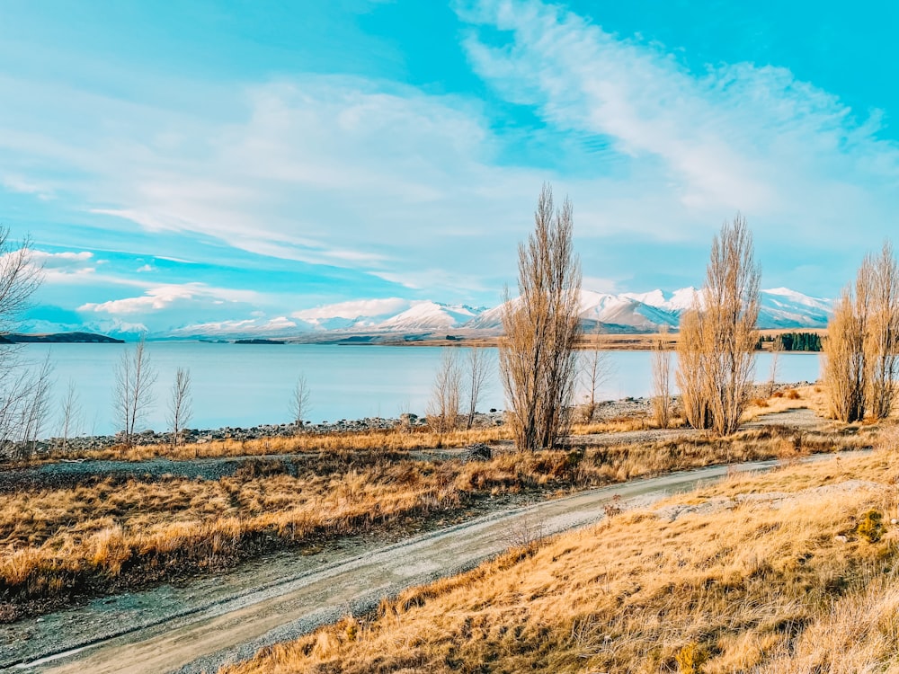 brown grass field near body of water under blue sky during daytime