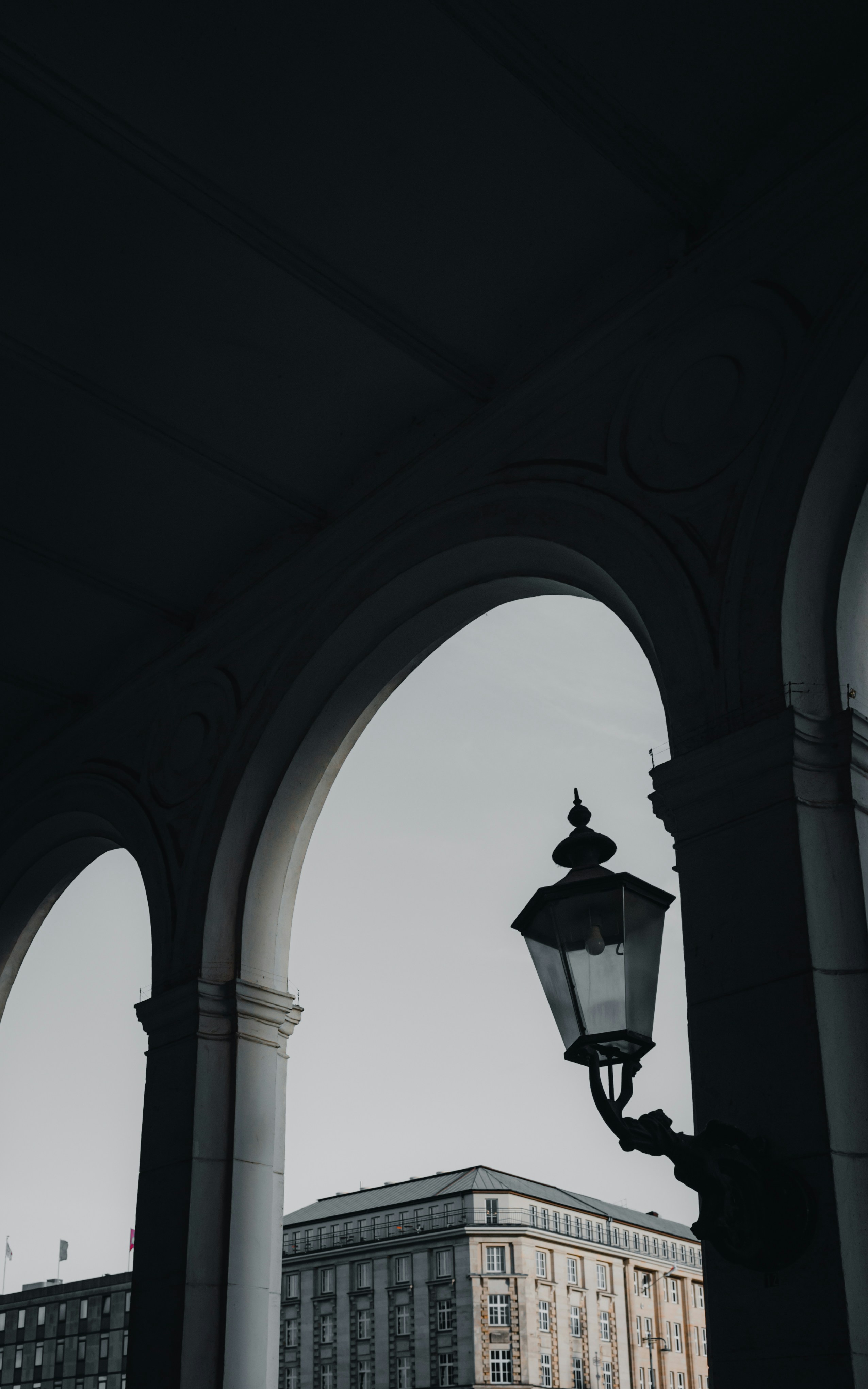 Photo by moisamihai092