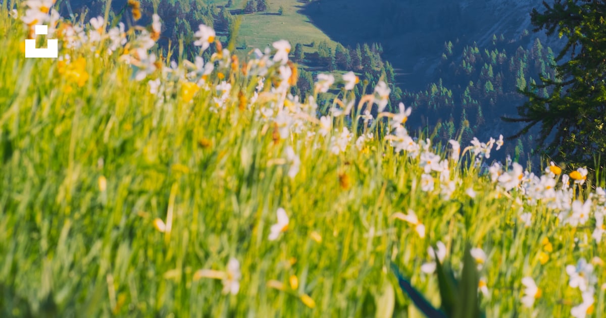 S'Expatrier au Canada : Le Guide Ultime pour les Français en Quête d'Aventure ! 1 Photo 1626794896302 C37D515Dbeb2?Crop=Faces%2Cedges&Amp;Cs=Tinysrgb&Amp;Fit=Crop&Amp;Fm=Jpg&Amp;Ixid=M3Wxmja3Fdb8Mxxhbgx8Fhx8Fhx8Fhwxnjg5Nzq3Nzu4Fa&Amp;Ixlib=Rb 4.0.3&Amp;Q=60&Amp;W=1200&Amp;Auto=Format&Amp;H=630&Amp;Mark W=64&Amp;Mark Align=Top%2Cleft&Amp;Mark Pad=50&Amp;Blend Mode=Normal&Amp;Blend Alpha=10&Amp;Blend W=1&Amp;Mark=Https%3A%2F%2Fimages.unsplash.com%2Fopengraph%2Flogo