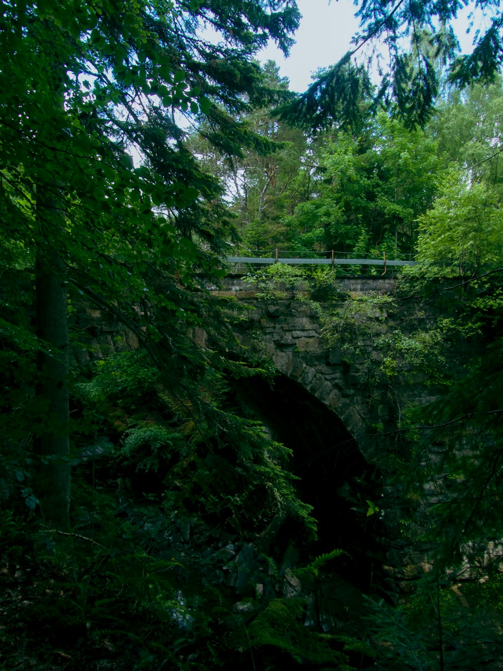 a bridge over a stream surrounded by trees