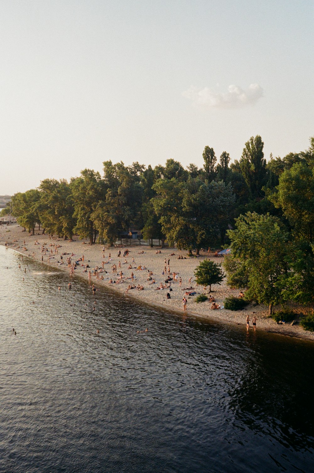 people on beach during daytime