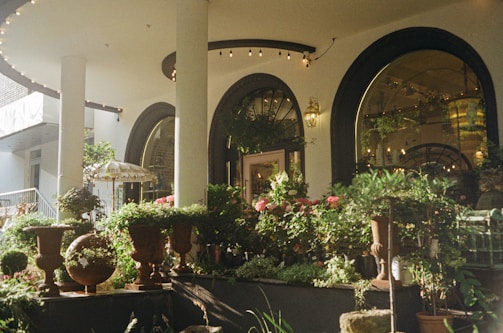 A charming outdoor garden scene features a variety of potted plants and flowers under an arched architectural canopy. The round windows reflect light, and strings of bulbs enhance the cozy, inviting ambiance. Decorative pots and a small covered structure add to the ornamental feel.