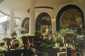 A charming outdoor garden scene features a variety of potted plants and flowers under an arched architectural canopy. The round windows reflect light, and strings of bulbs enhance the cozy, inviting ambiance. Decorative pots and a small covered structure add to the ornamental feel.