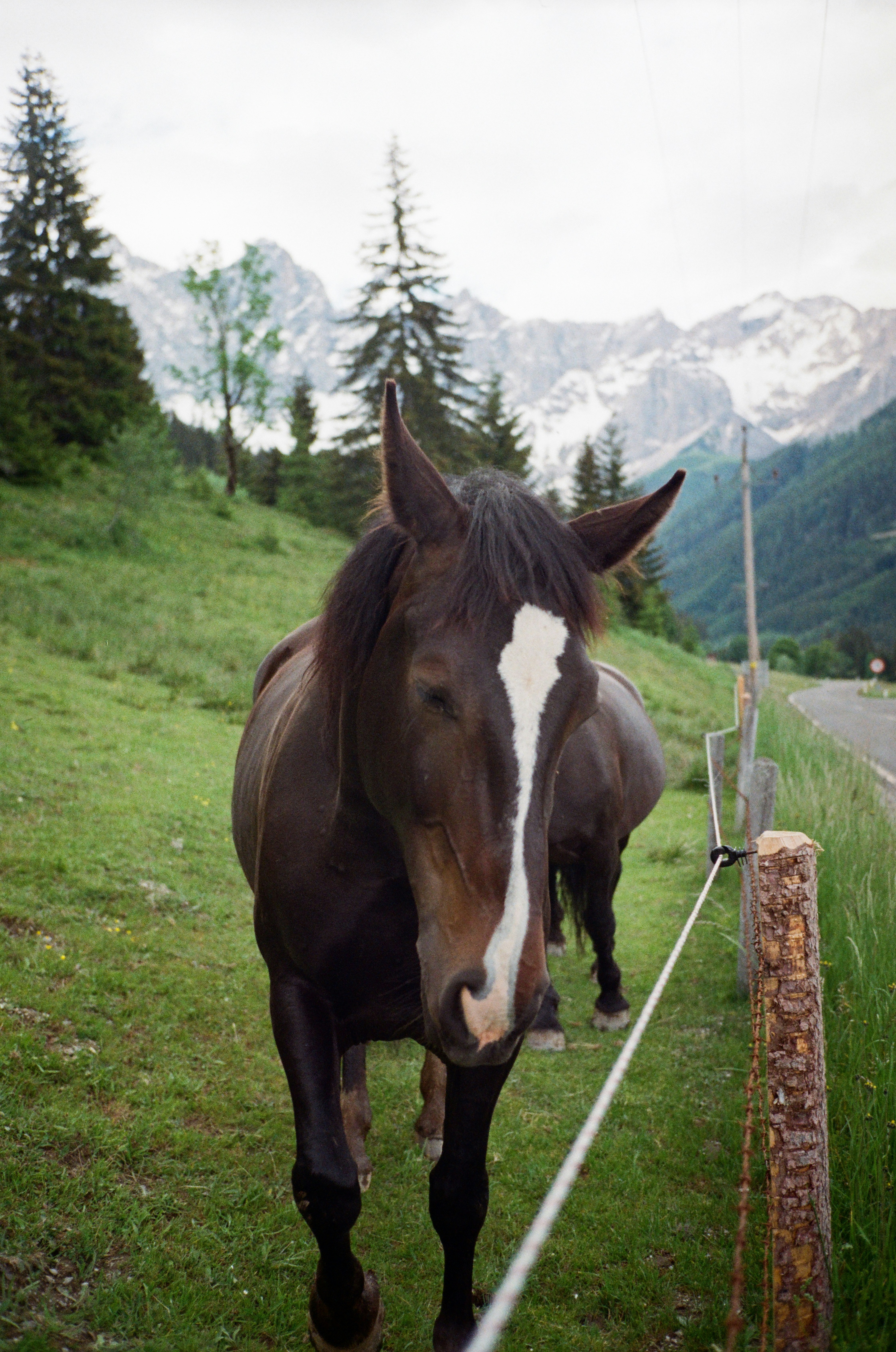 Photo by privetannet