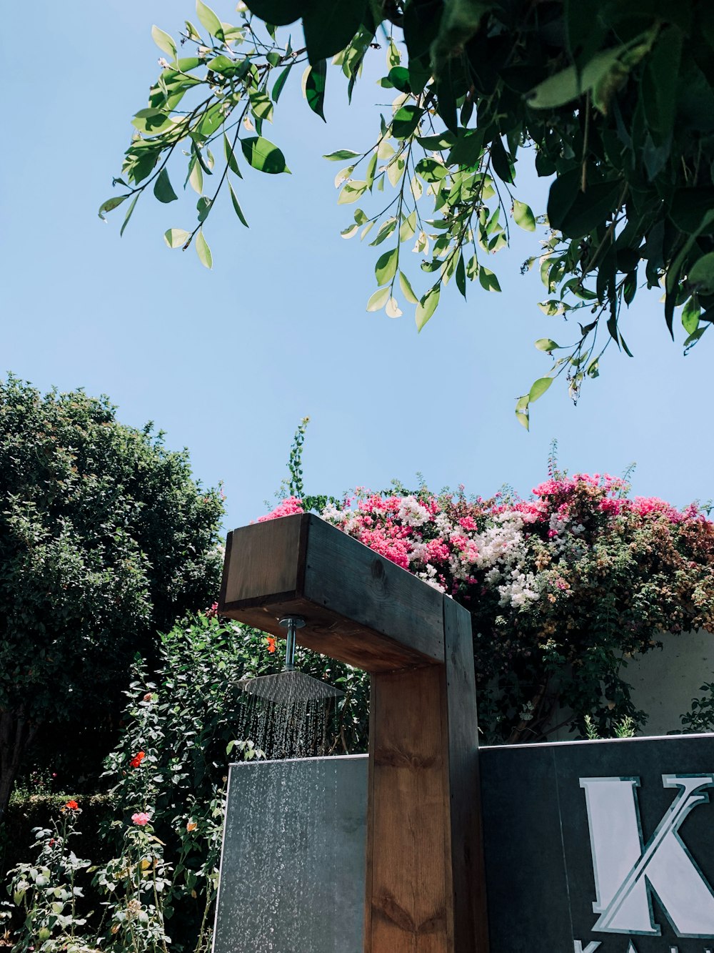 green trees beside brown wooden fence