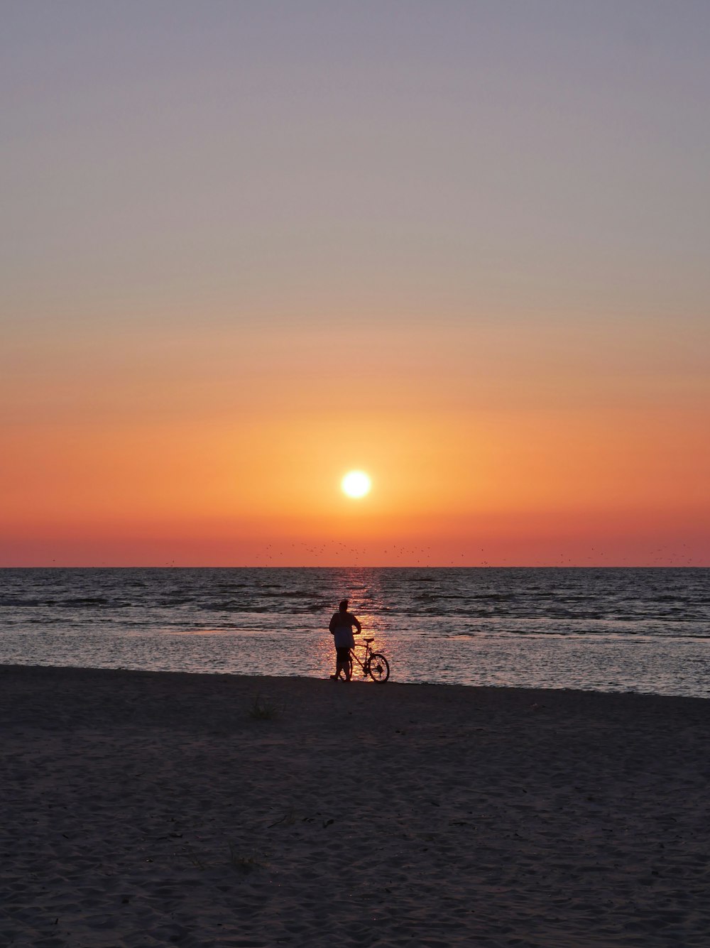 silhouette of 2 people sitting on beach during sunset