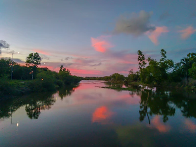 A sunset view over a sparkling, trash-free river winding through green trees.
