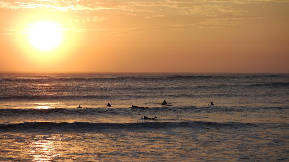 silhouette of people surfing on sea during sunset