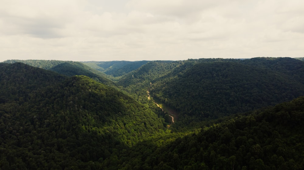 green trees on mountain under white clouds during daytime