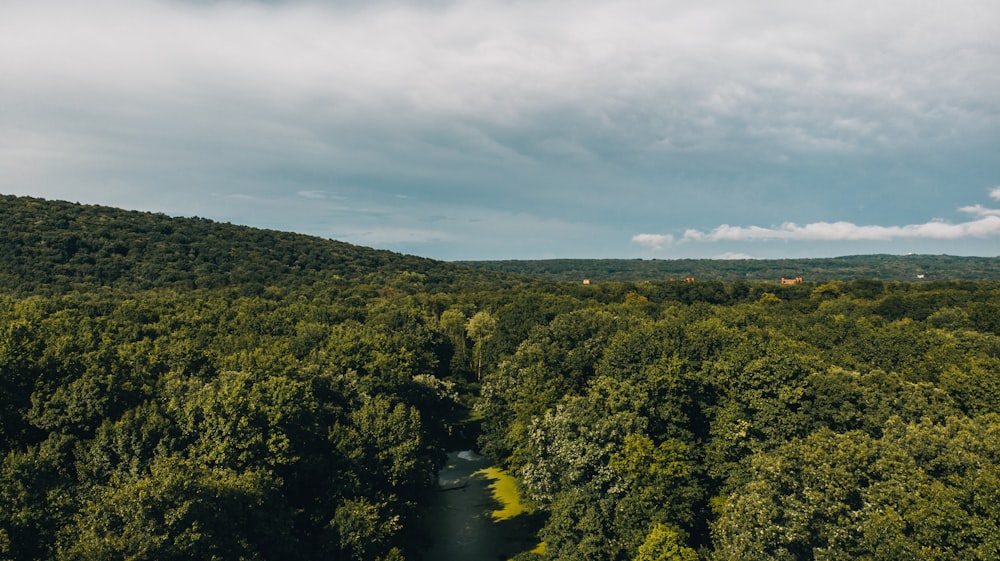 green trees near river under white clouds during daytime