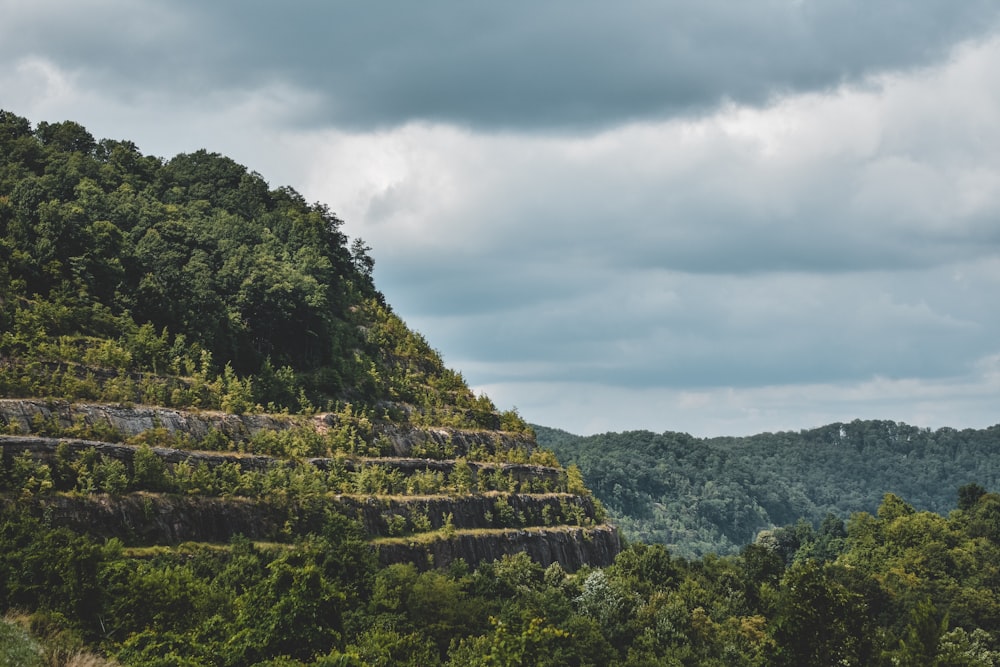 green trees on mountain under cloudy sky during daytime