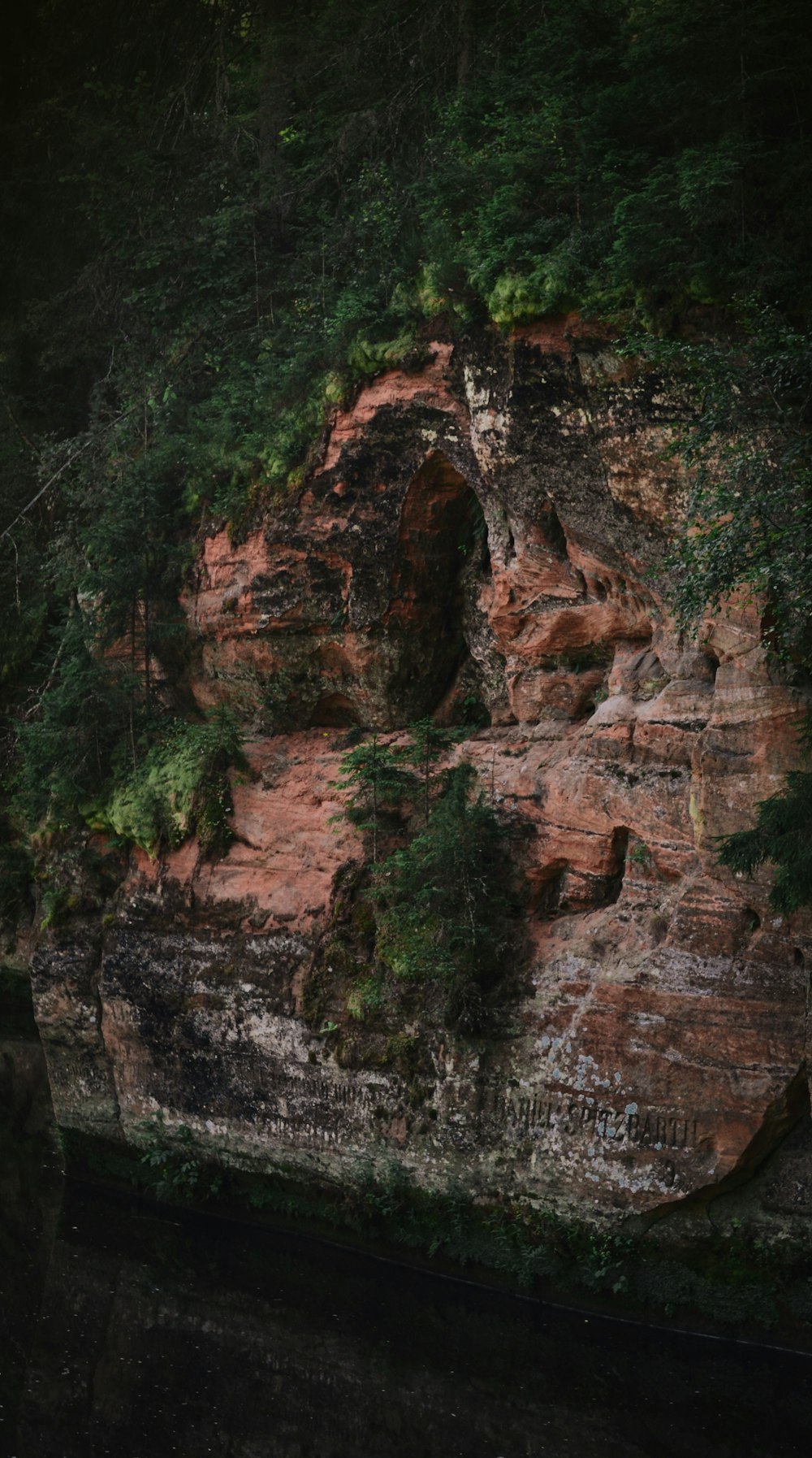 brown rocky mountain with green trees