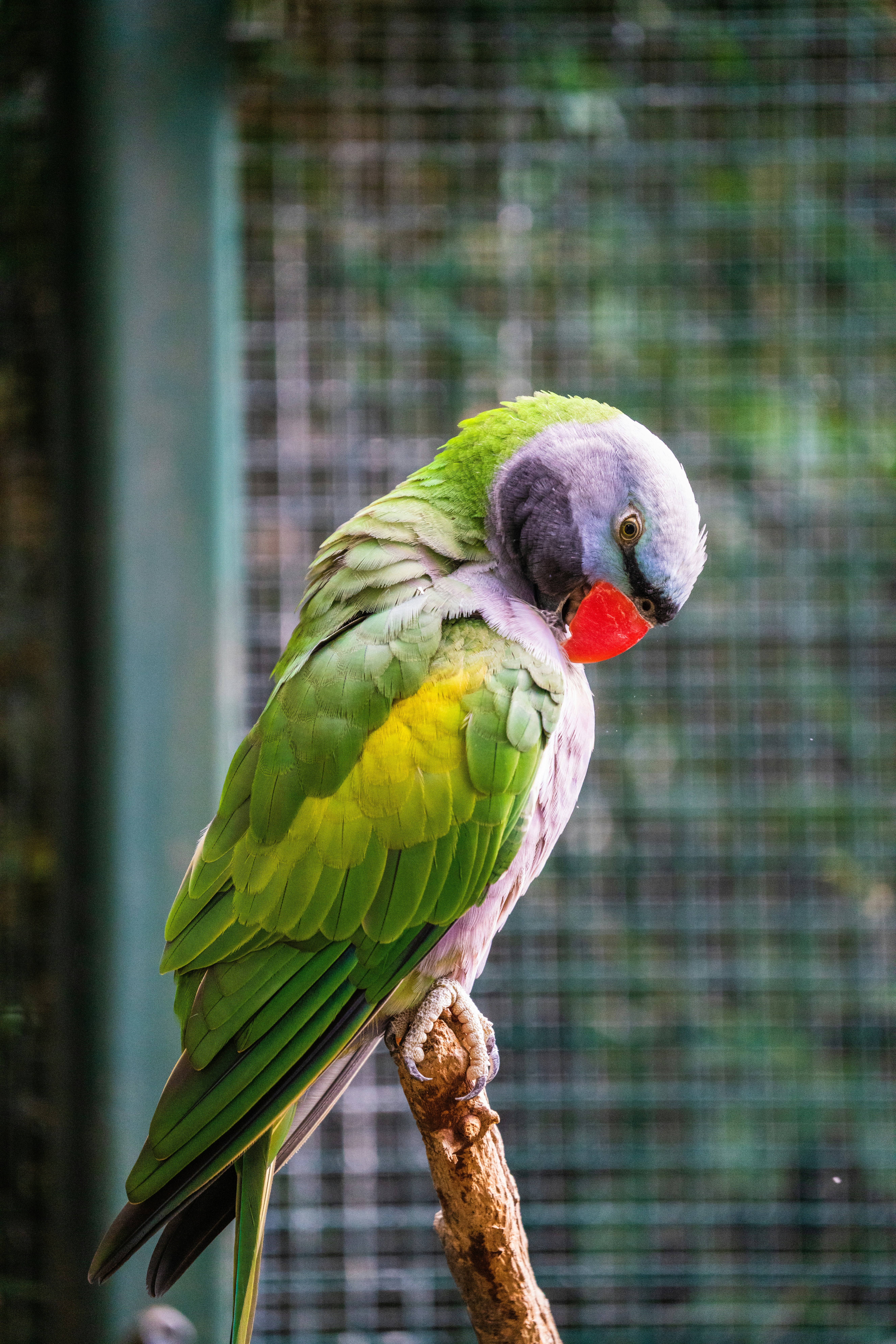 Photo by dmaxsilencer