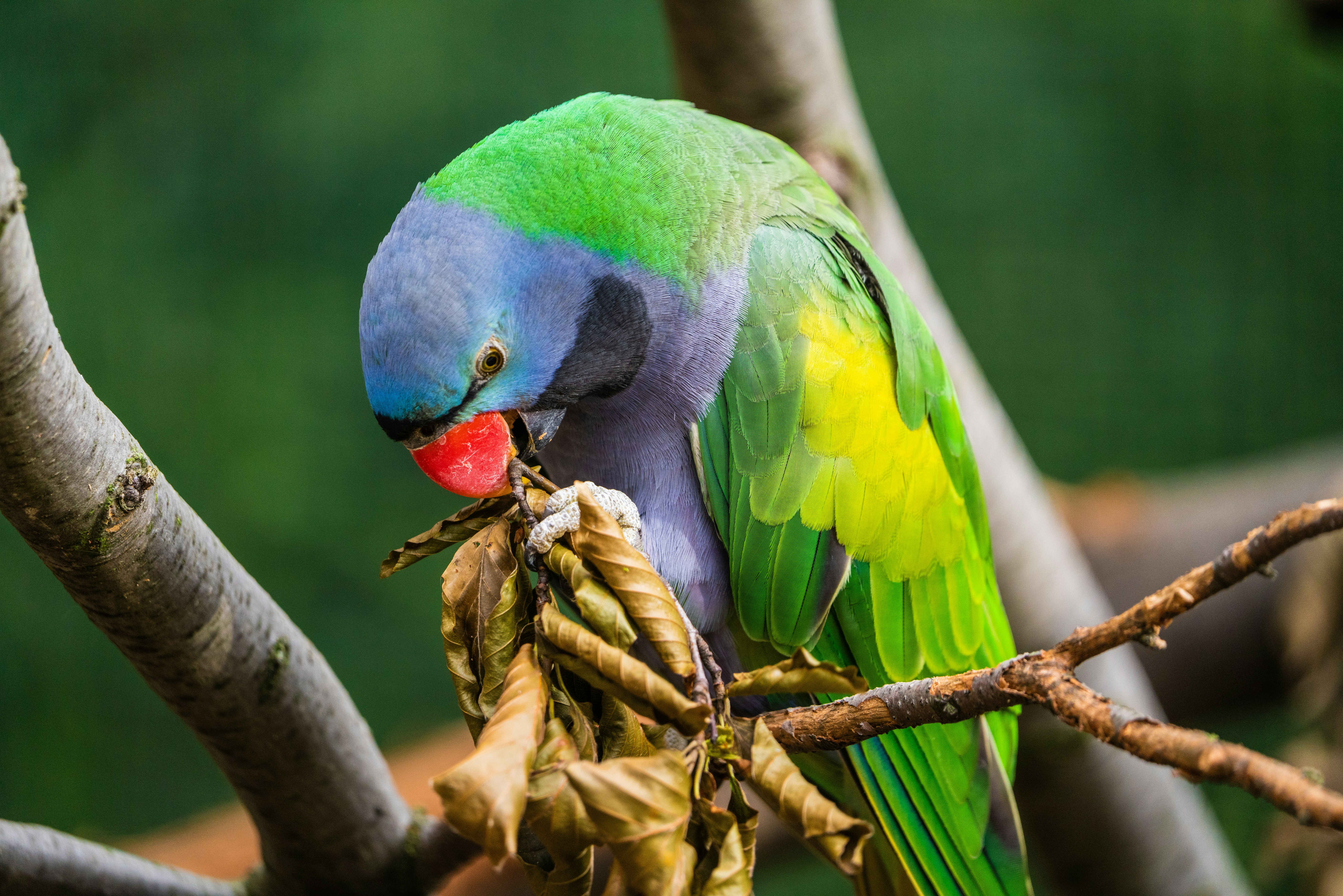 Photo by dmaxsilencer