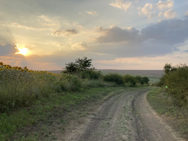 A sunlit dirt road winding through rolling hills dotted with rustic barns and wildflowers.