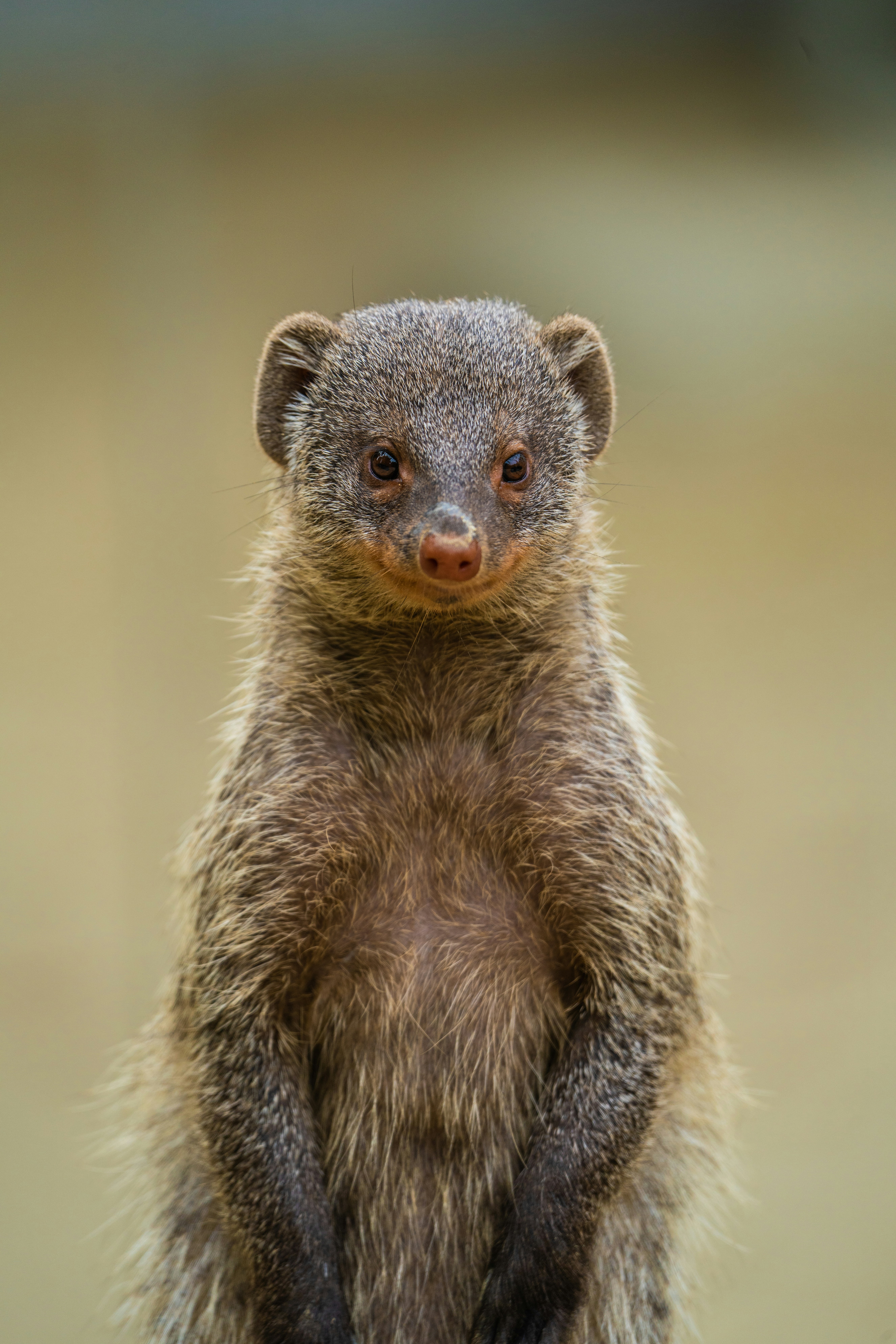 Photo by dmaxsilencer