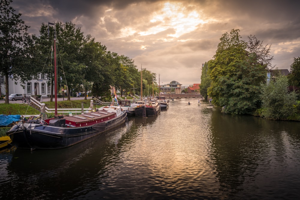 boat on river near green trees during daytime