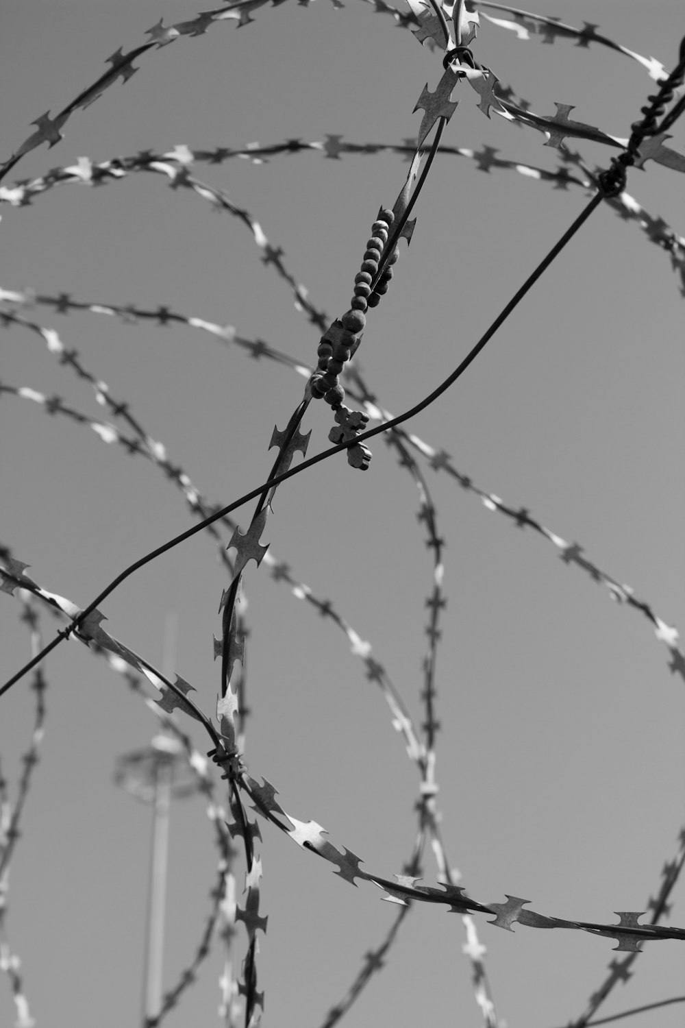 black metal wire with water droplets