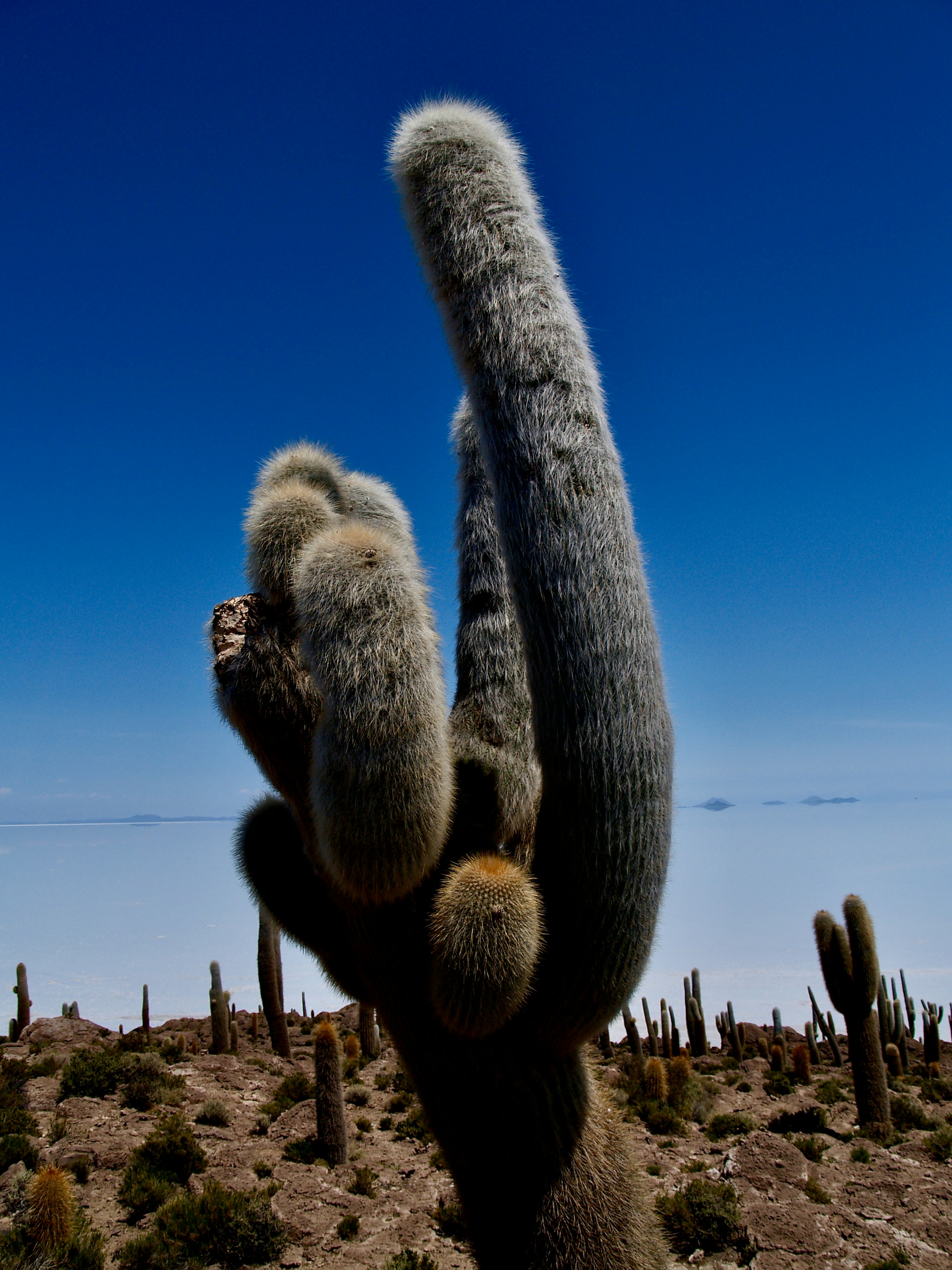 Photo by peterburdon