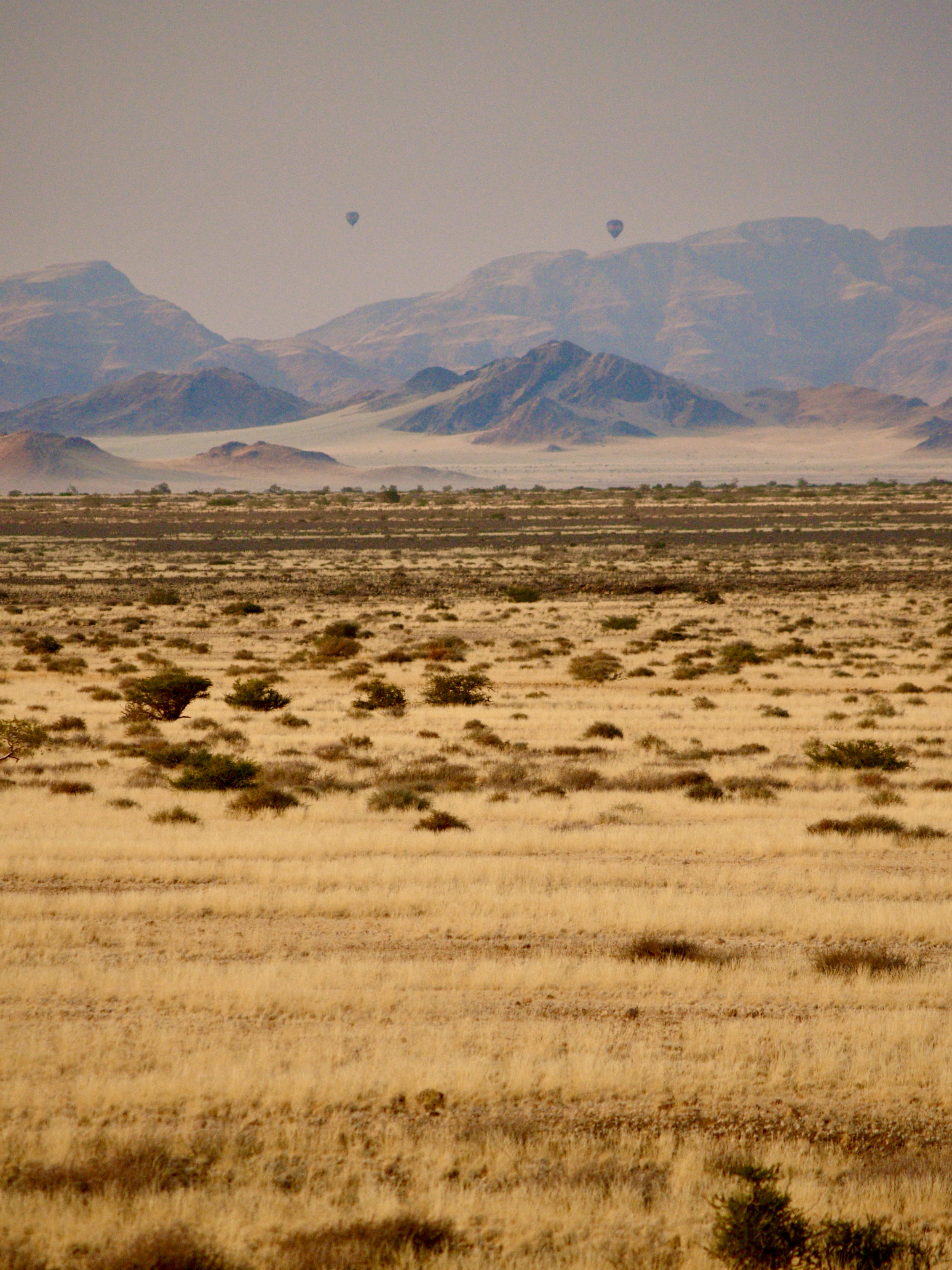 Photo by peterburdon