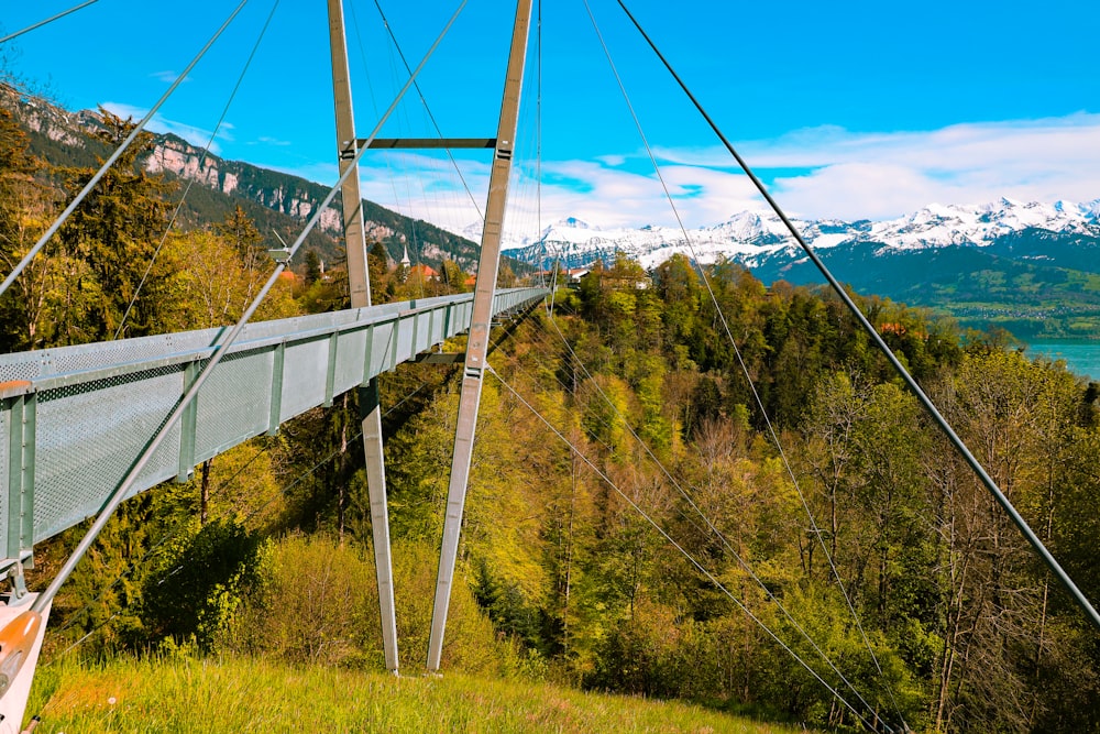 gray wooden bridge over green trees during daytime